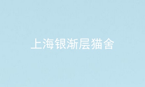 上海银渐层猫舍