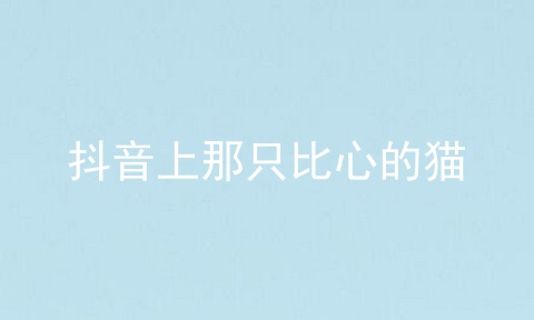 抖音上那只比心的猫