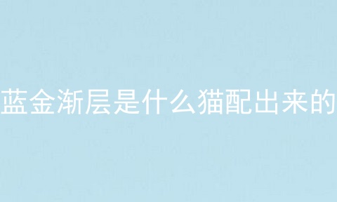 蓝金渐层是什么猫配出来的