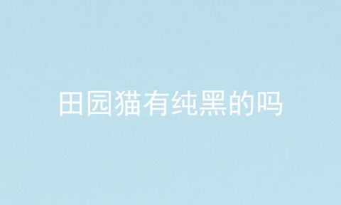 田园猫有纯黑的吗