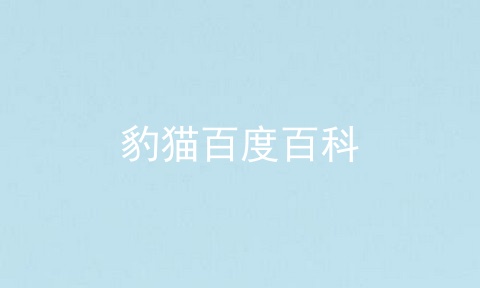 豹猫百度百科
