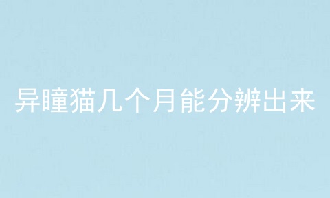 异瞳猫几个月能分辨出来