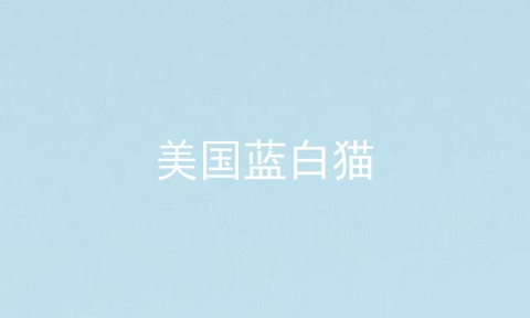 美国蓝白猫