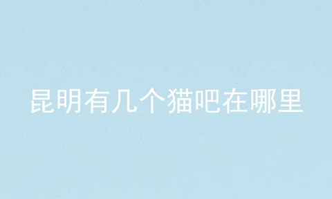 昆明有几个猫吧在哪里