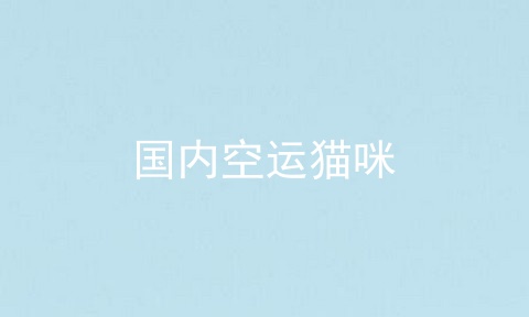 国内空运猫咪