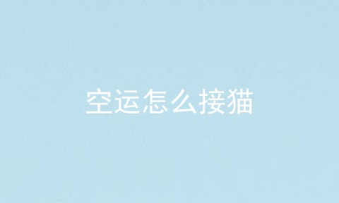 空运怎么接猫