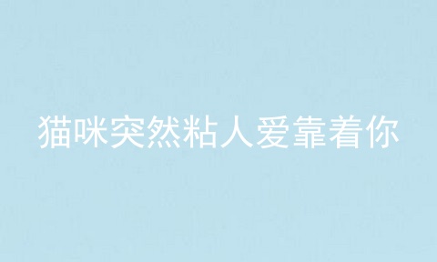 猫咪突然粘人爱靠着你