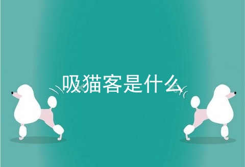 吸猫客是什么