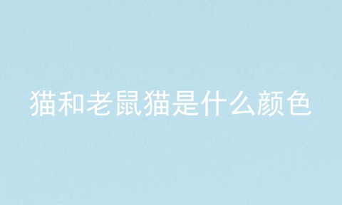 猫和老鼠猫是什么颜色