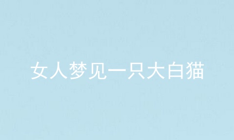 女人梦见一只大白猫
