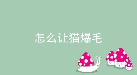 怎么让猫爆毛