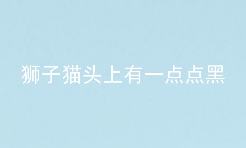 狮子猫头上有一点点黑