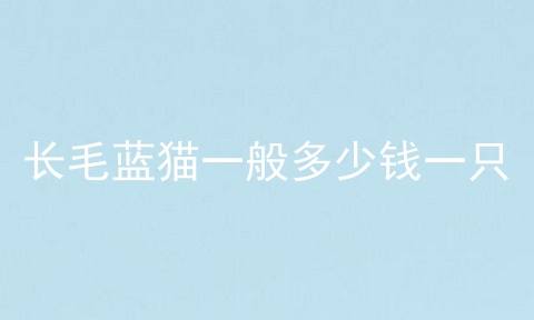 长毛蓝猫一般多少钱一只