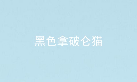 黑色拿破仑猫