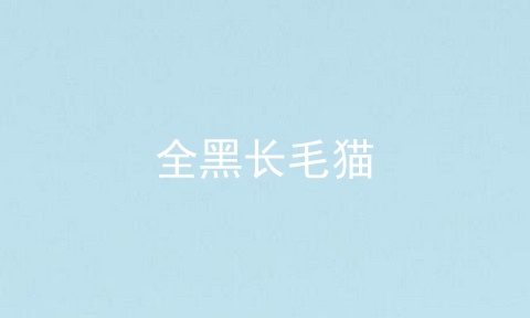 全黑长毛猫