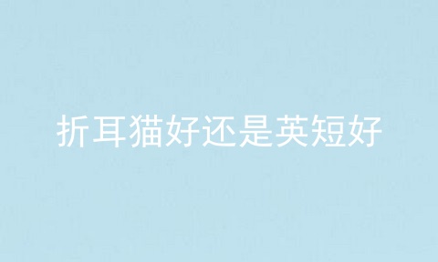 折耳猫好还是英短好
