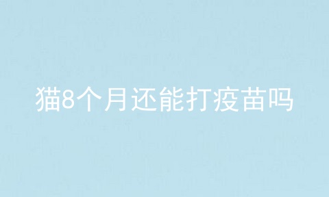 猫8个月还能打疫苗吗