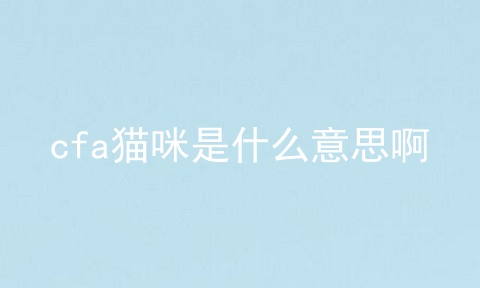 cfa猫咪是什么意思啊