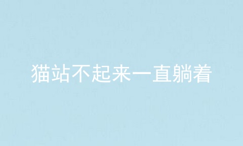 猫站不起来一直躺着