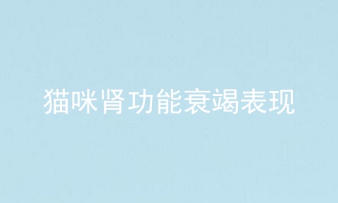 猫咪肾功能衰竭表现