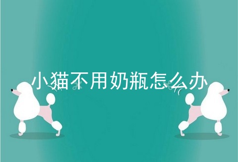 小猫不用奶瓶怎么办