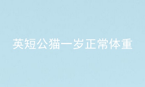 <a href=/cat/13.html target=_blank class=infotextkey>英短</a>公猫一岁正常体重