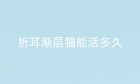 折耳渐层猫能活多久