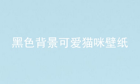 黑色背景可爱猫咪壁纸