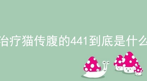 治疗猫传腹的441到底是什么