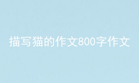 描写猫的作文800字作文