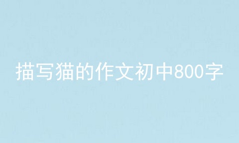 描写猫的作文初中800字