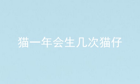 猫一年会生几次猫仔
