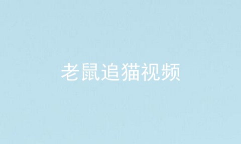 老鼠追猫视频