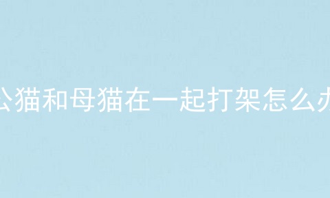 公猫和母猫在一起打架怎么办