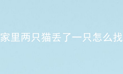家里两只猫丢了一只怎么找
