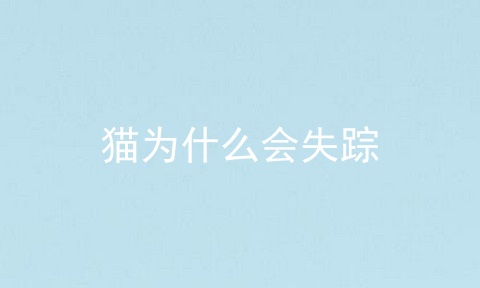 猫为什么会失踪