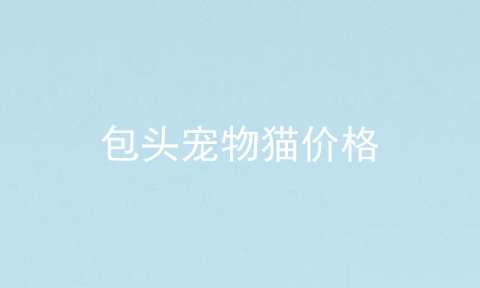 包头宠物猫价格