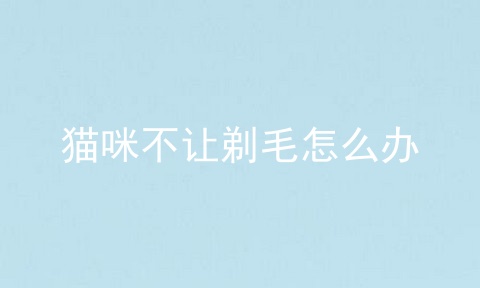 猫咪不让剃毛怎么办