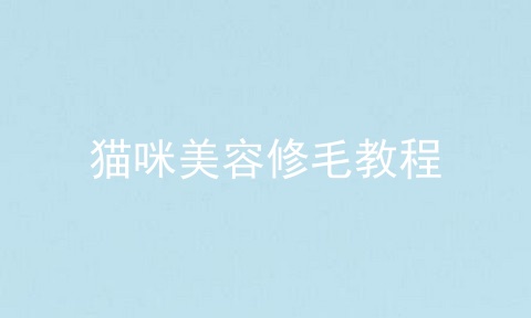 猫咪美容修毛教程