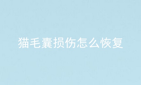 猫毛囊损伤怎么恢复