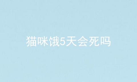 猫咪饿5天会死吗
