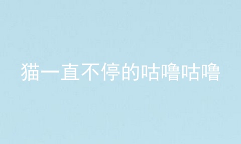 猫一直不停的咕噜咕噜