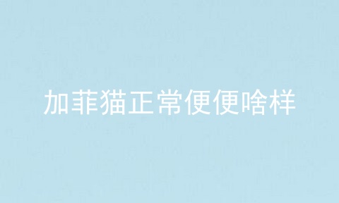 加菲猫正常便便啥样