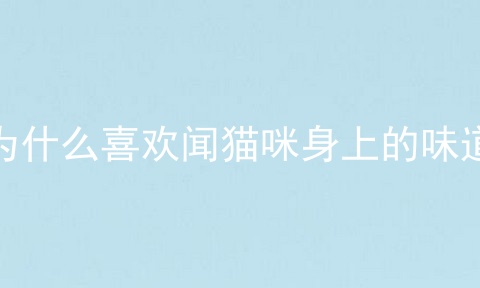 为什么喜欢闻猫咪身上的味道