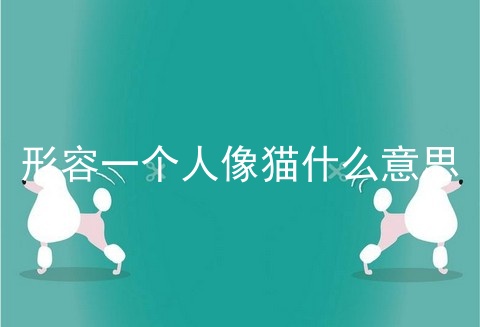形容一个人像猫什么意思