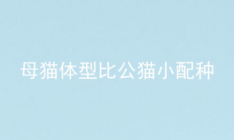 母猫体型比公猫小配种
