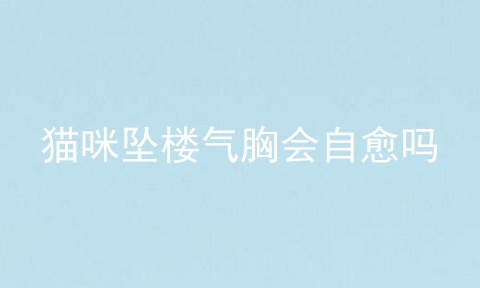 猫咪坠楼气胸会自愈吗