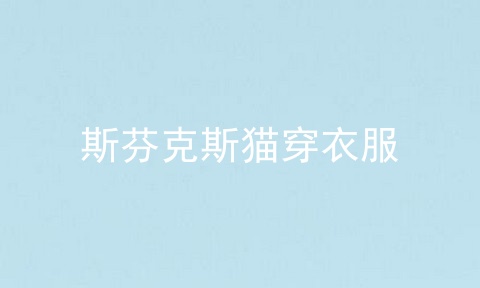 斯芬克斯猫穿衣服
