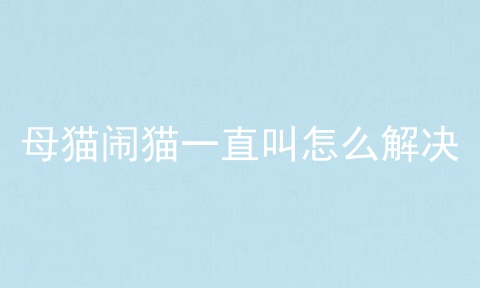 母猫闹猫一直叫怎么解决