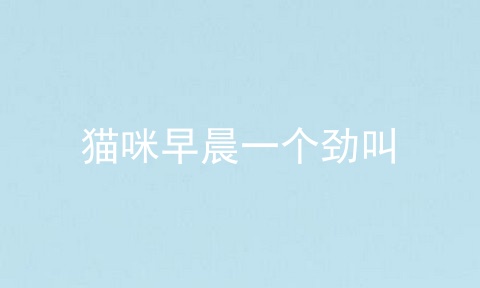 猫咪早晨一个劲叫
